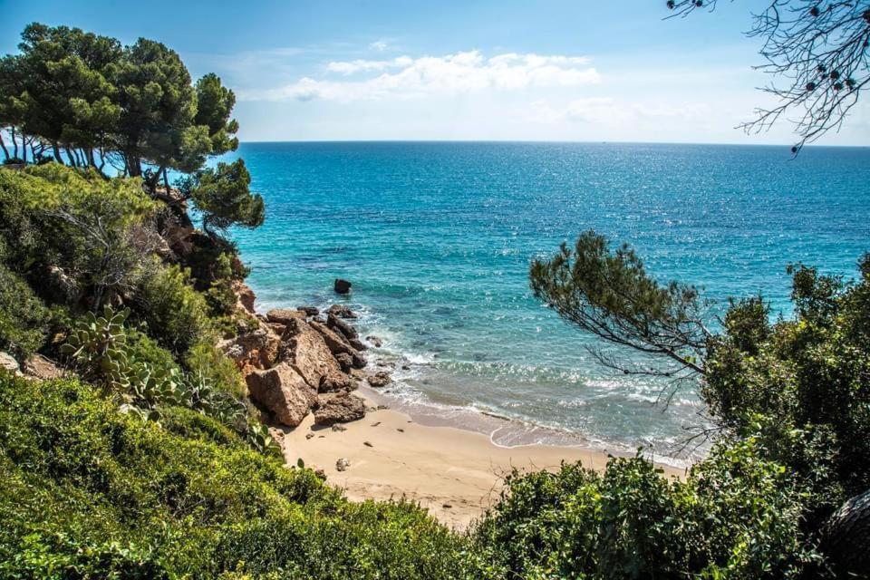 Tropikana Daire Miami Playa Dış mekan fotoğraf